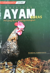 Image of Beternak Ayam Buras Peluang Bisnis Menguntungkan