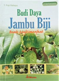 Image of Budi Daya Jambu Biji Buah Multimanfaat