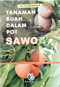 Image of Tanaman Buah Dalam Pot Sawo